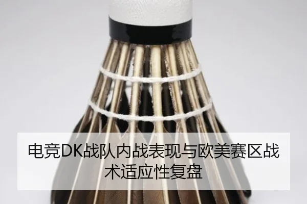dian-jing-zhan-dui-nei-zhan-biao-xian-yu-ou-mei-sai-qu-zhan-shu-shi-ying-xing-fu-pan-2-421.jpg